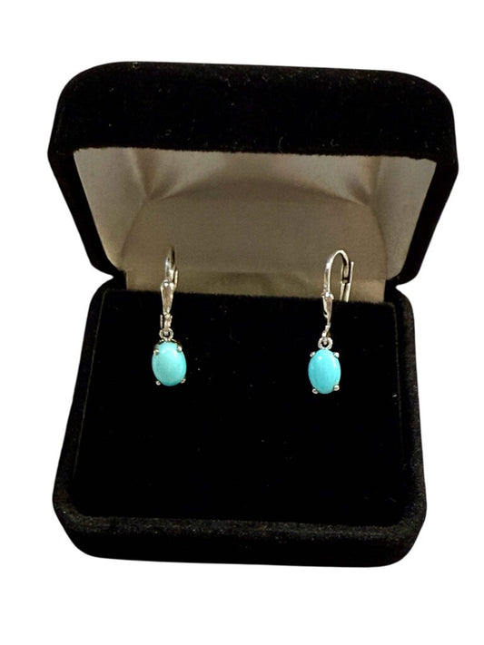 SS OVAL TURQ LEVER BACK EARRINGS
